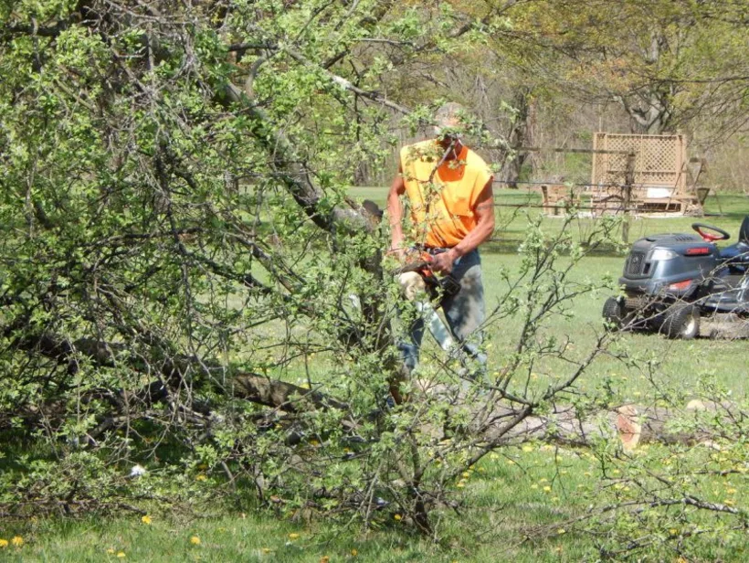 Precision Pruning
